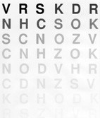 tn80242.jpg