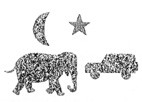 tn81175.jpg