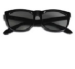 80969_POLARISATIONSBRILLE_NEU.png